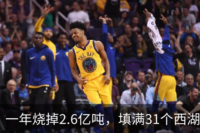 一年烧掉2.6亿吨，填满31个西湖！中国的垃圾，不够烧了？